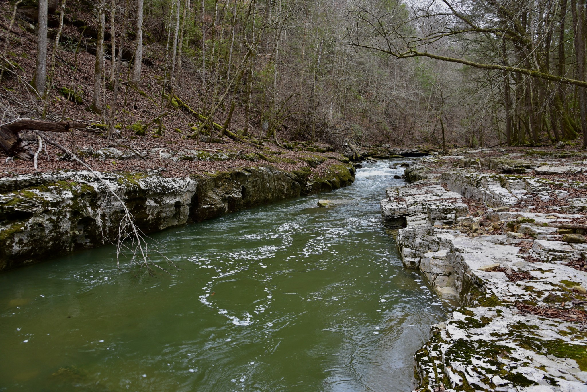 0 Coal Lane Clarkrange, TN 38553 - Photo 30 of 60 a view of a lake