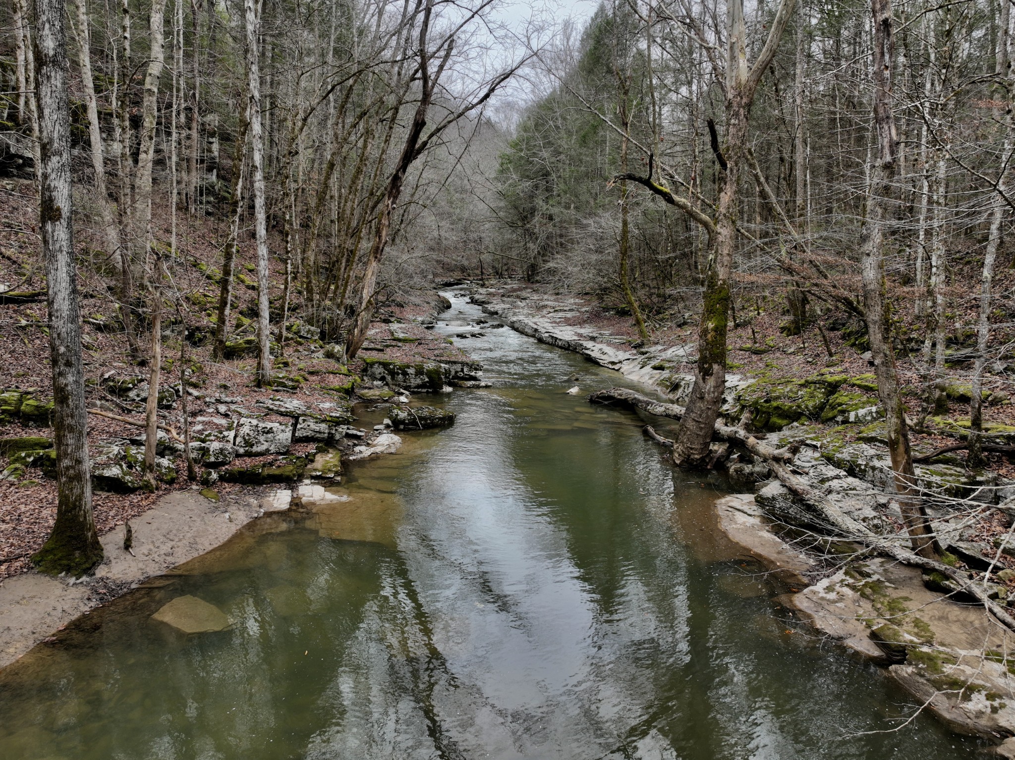 0 Coal Lane Clarkrange, TN 38553 - Photo 3 of 60