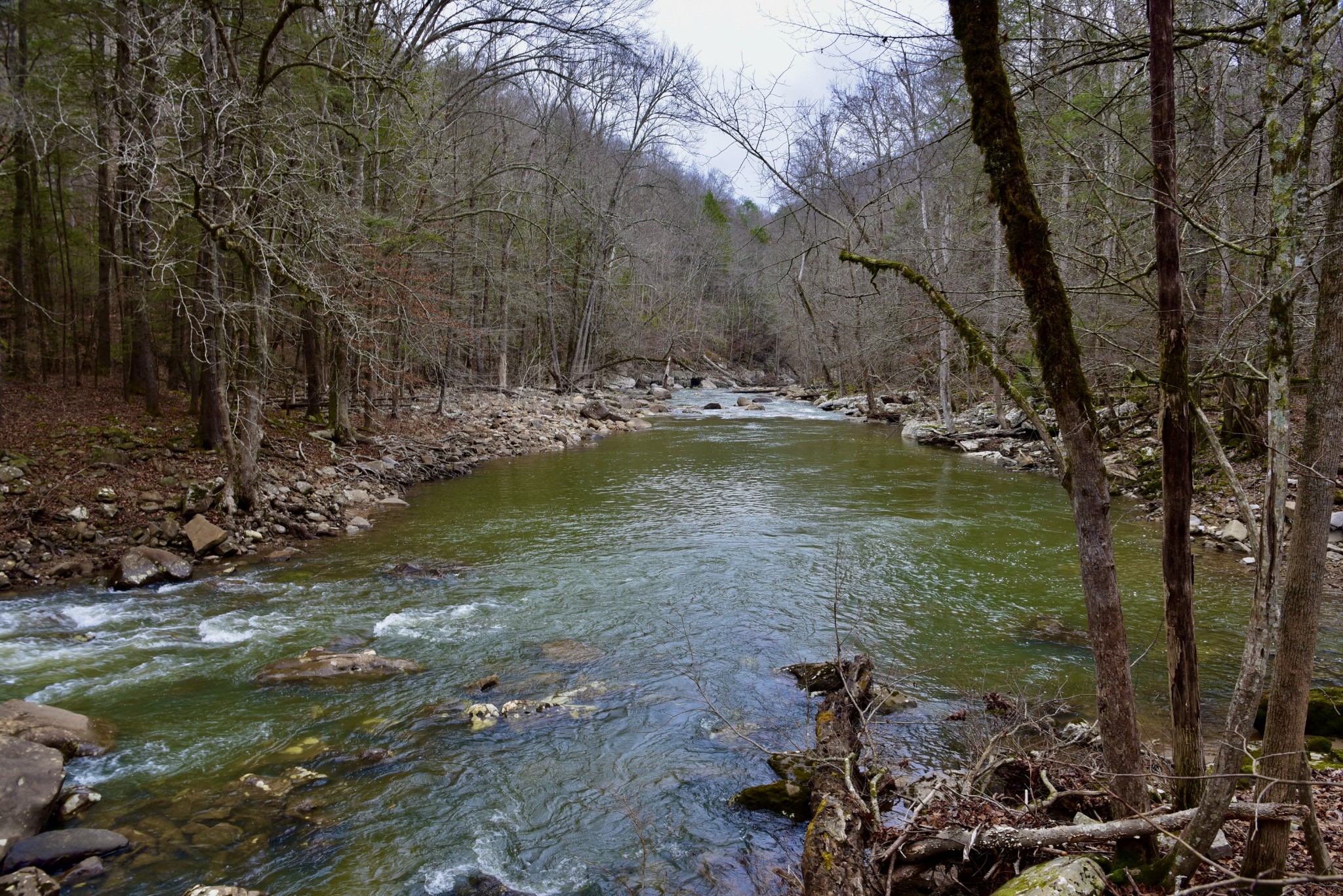0 Coal Lane Clarkrange, TN 38553 - Photo 41 of 60 a view of swimming pool with a yard