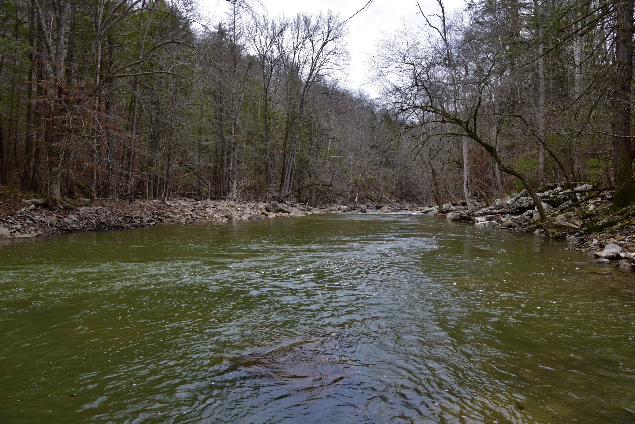0 Coal Lane Clarkrange, TN 38553 - Photo 42 of 60
