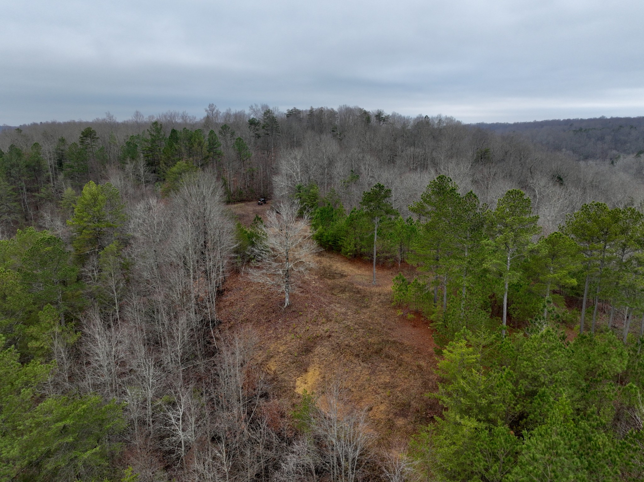 0 Coal Lane Clarkrange, TN 38553 - Photo 10 of 60 a view of a forest with a forest