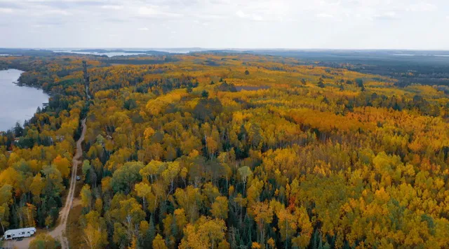 $57,900 | Parcel F Tbd Frazer Bay Road, Cook, MN 55723