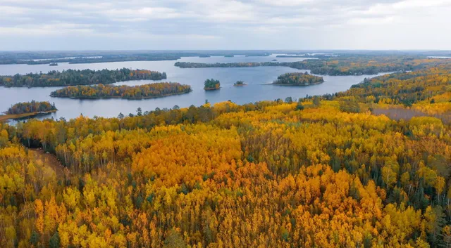 $57,900 | Parcel F Tbd Frazer Bay Road, Cook, MN 55723