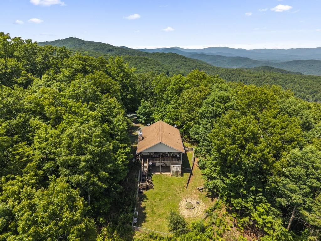 2697 Brushy Top Road Ellijay, GA 30540 - Photo 38 of 41