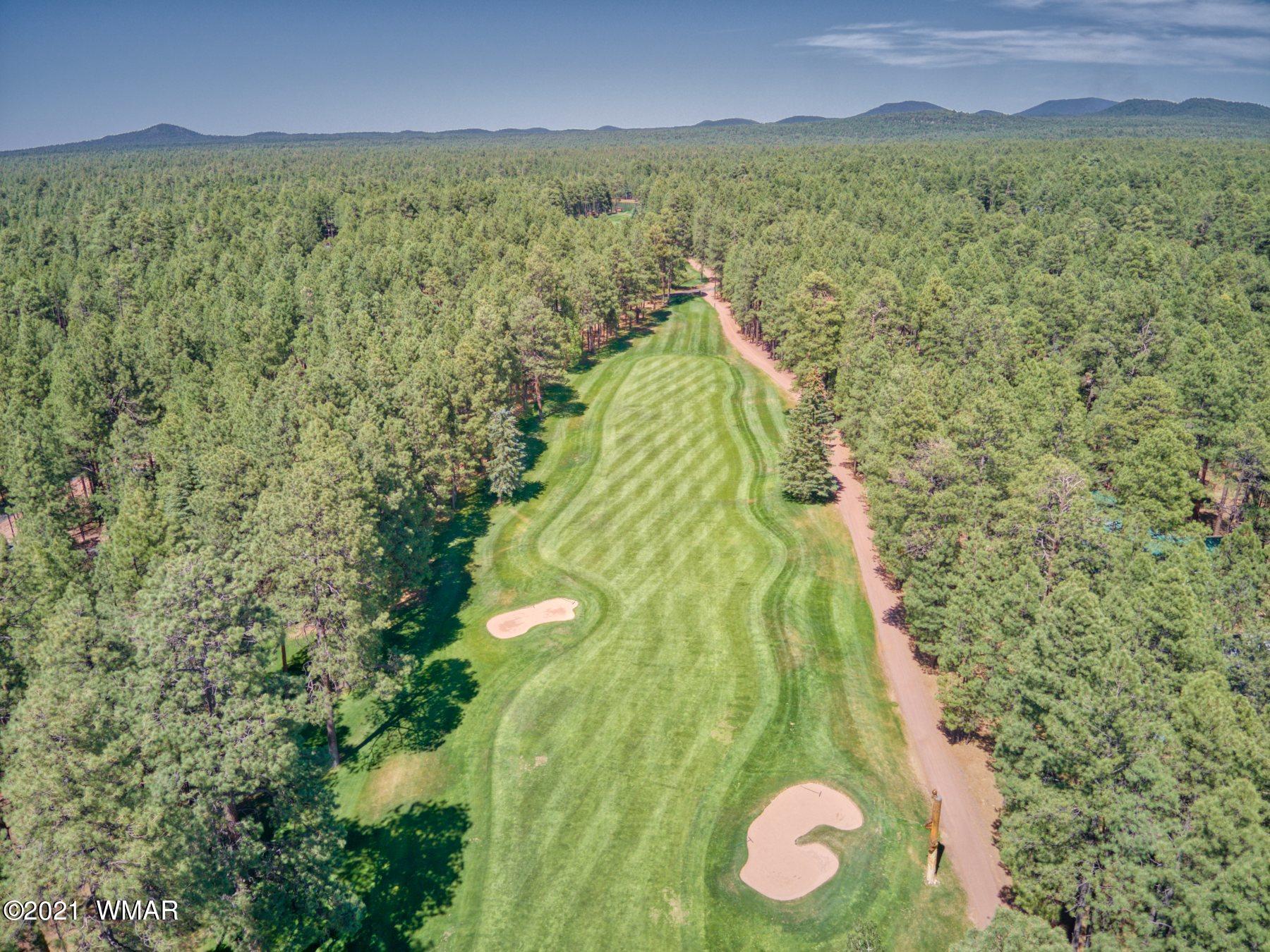 7593 Geronimo Road Pinetop, AZ 85935 - Photo 3 of 20 Gallery Image 3