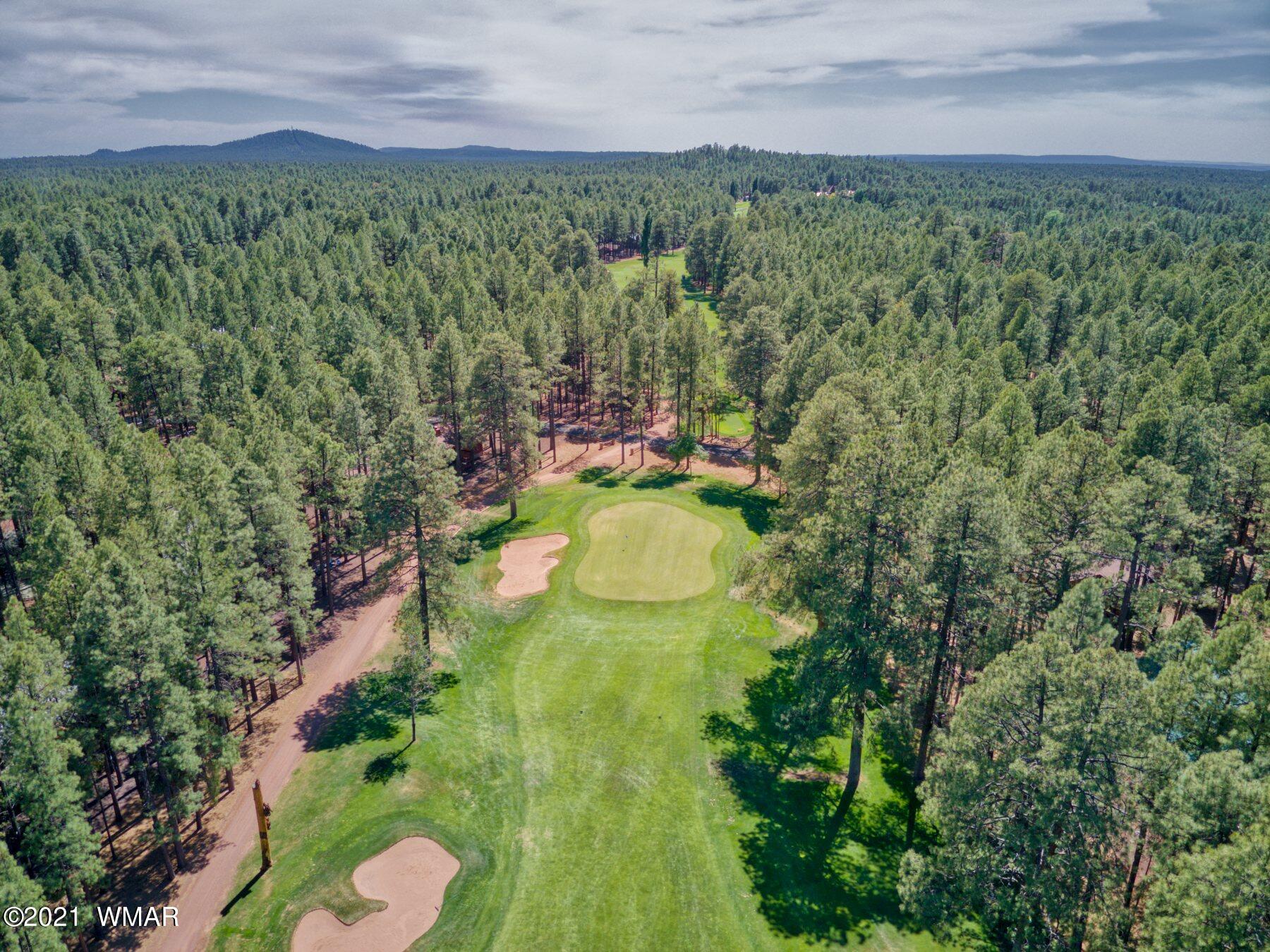 7593 Geronimo Road Pinetop, AZ 85935 - Photo 4 of 20 Gallery Image 4
