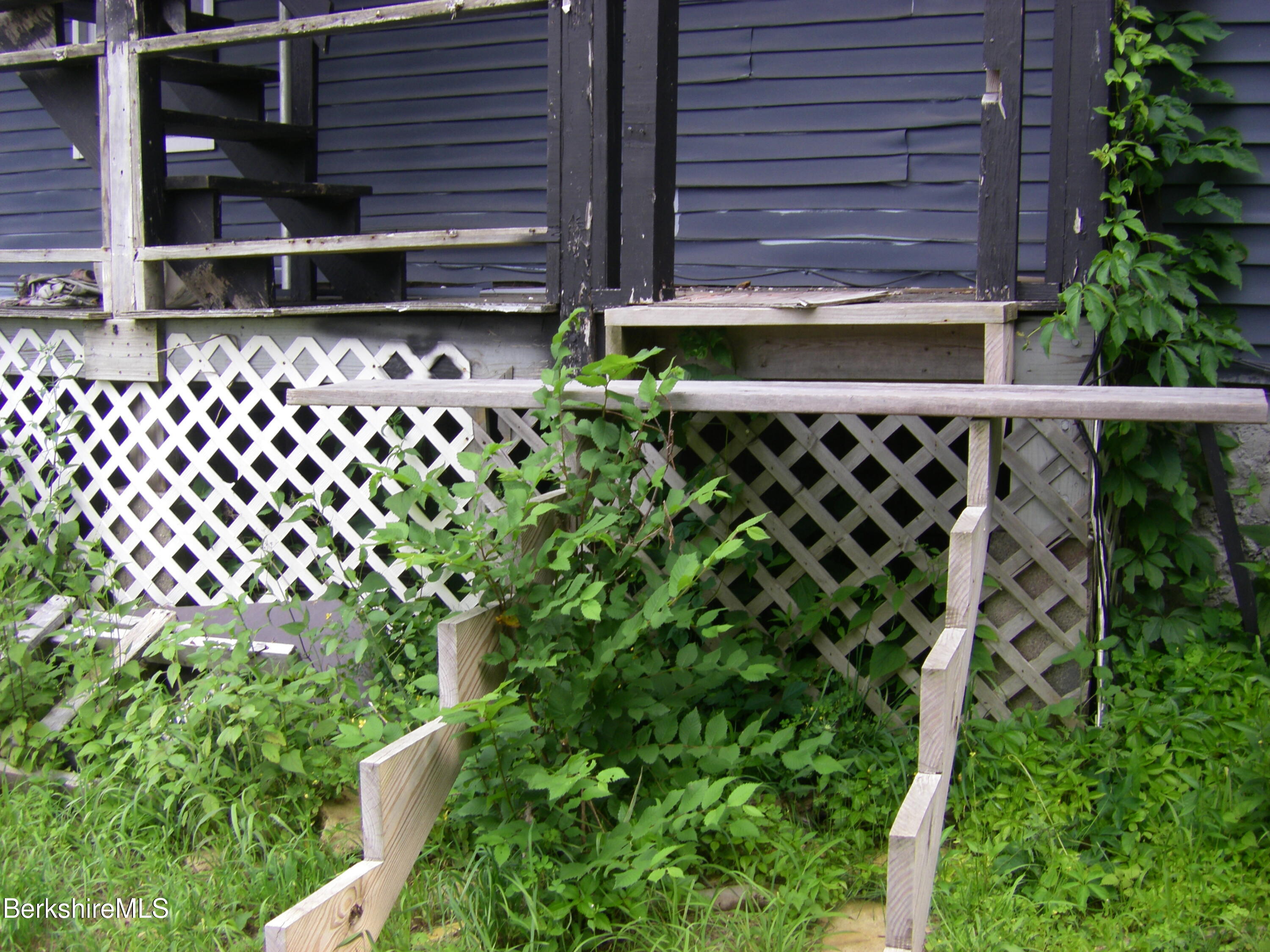 306 Union Street North Adams, MA 01247 - Photo 5 of 30 a close up of a potted plant