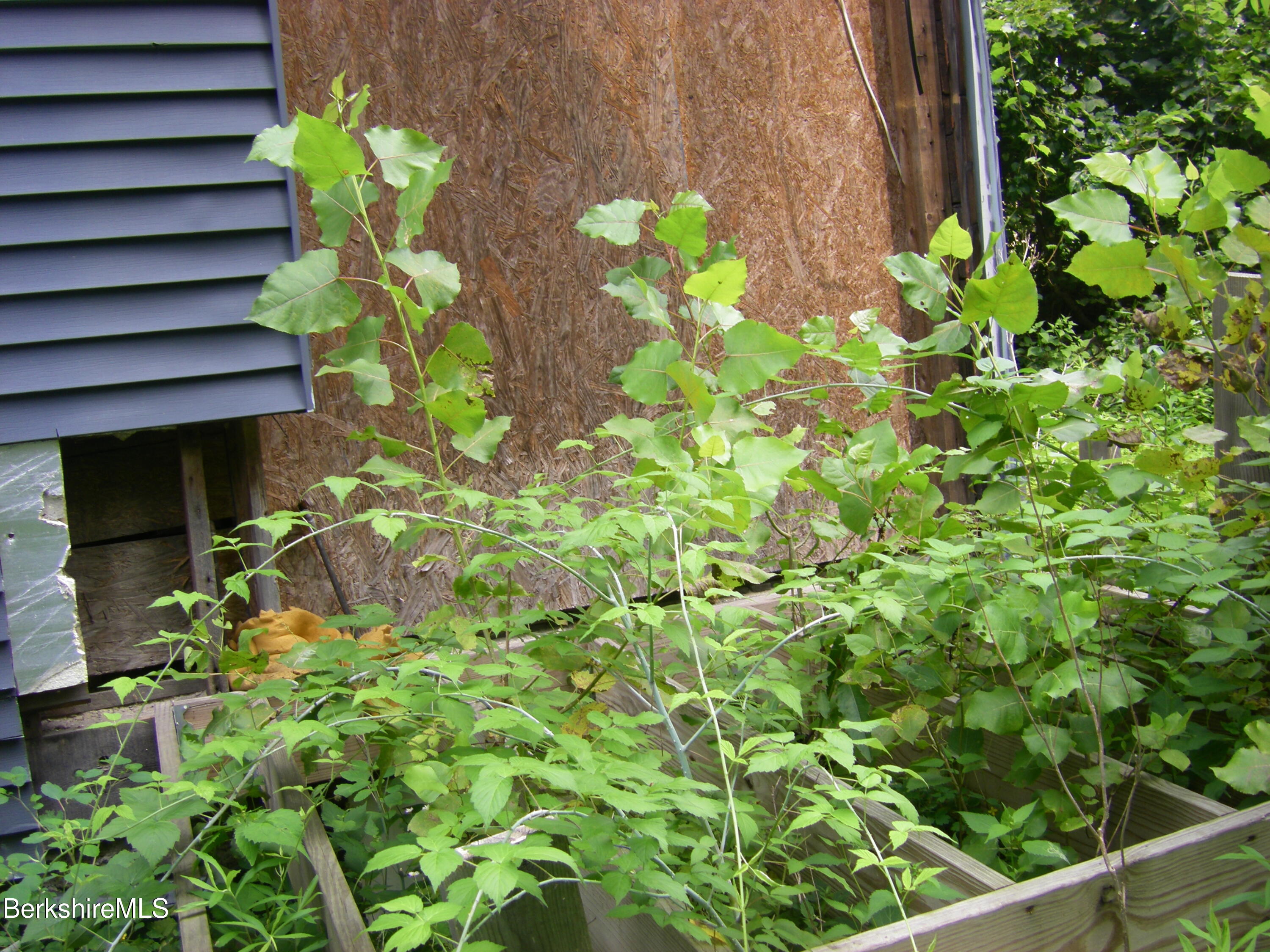 306 Union Street North Adams, MA 01247 - Photo 8 of 30