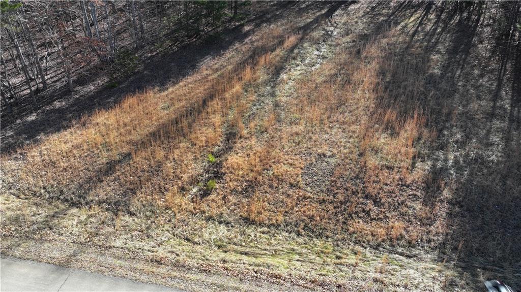 29 Saratoga Drive Rydal, GA 30171 - Photo 13 of 22 a view of a yard with a tree