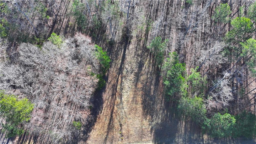 29 Saratoga Drive Rydal, GA 30171 - Photo 14 of 22 a yard with tall trees