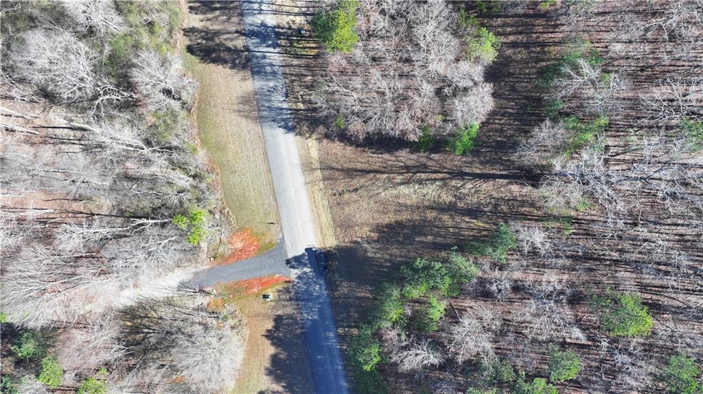 29 Saratoga Drive Rydal, GA 30171 - Photo 15 of 22 a backyard of a house with a yard and fountain