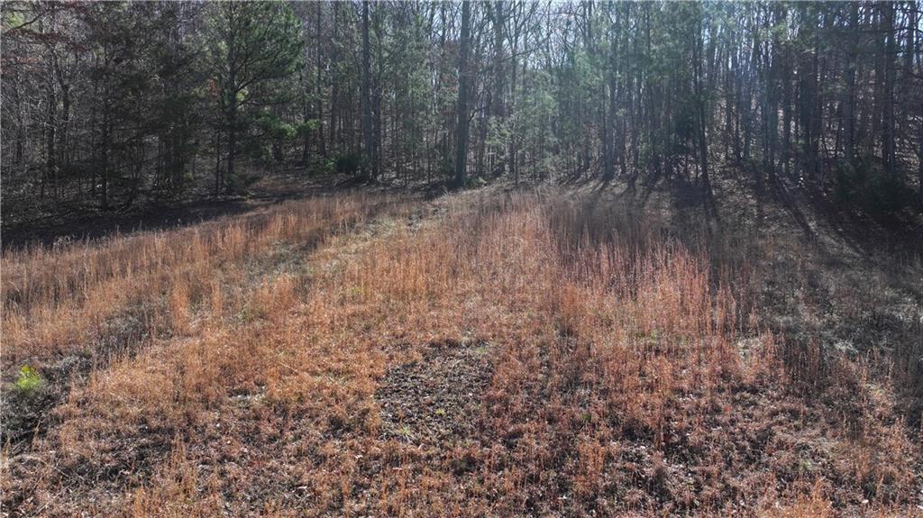 29 Saratoga Drive Rydal, GA 30171 - Photo 20 of 22 a view of a dry yard