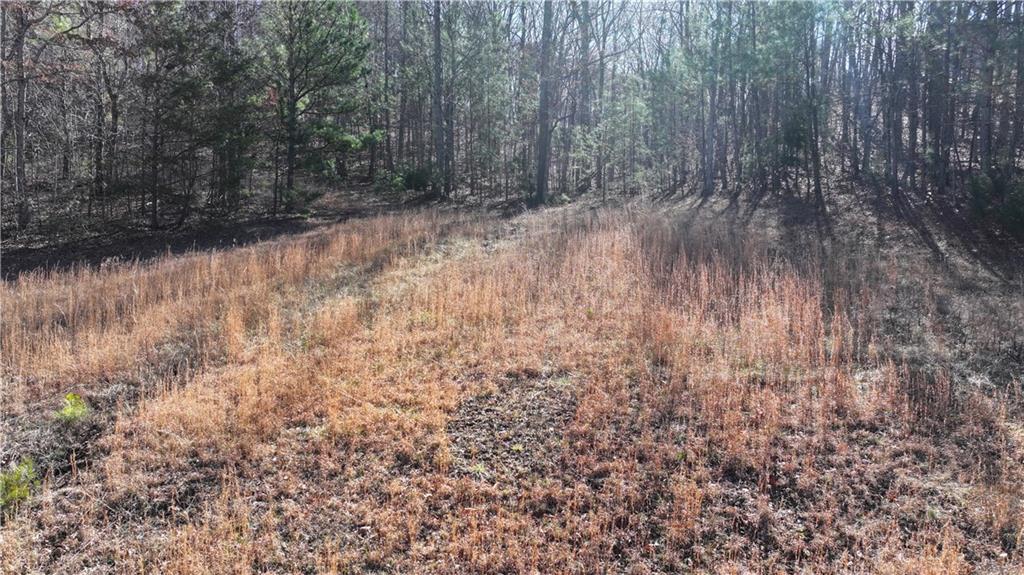 29 Saratoga Drive Rydal, GA 30171 - Photo 21 of 22 a view of a yard with trees