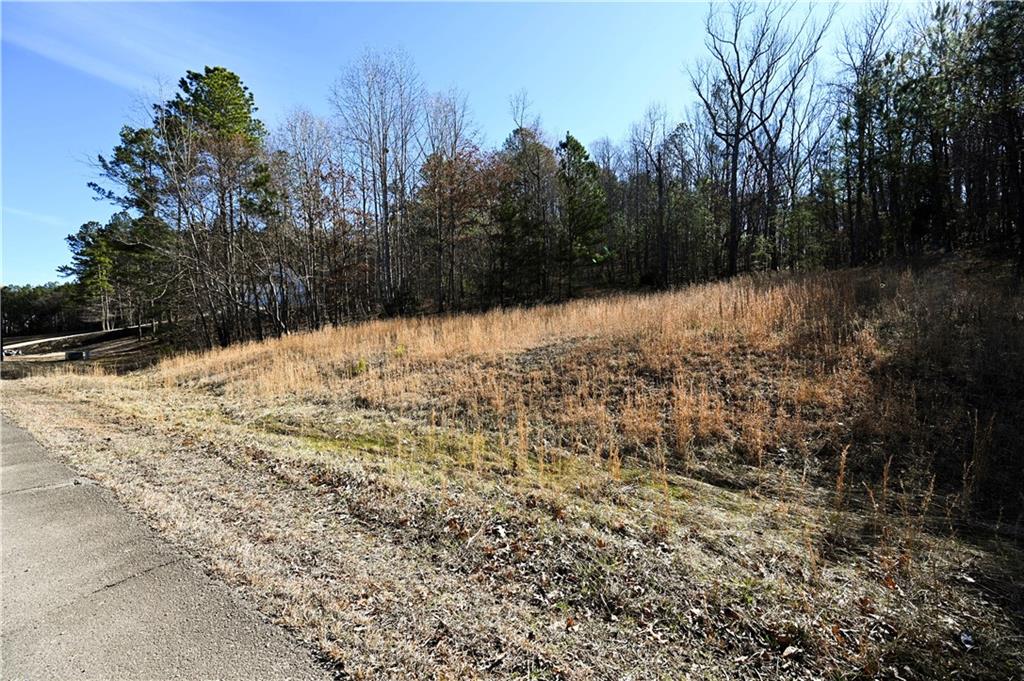 29 Saratoga Drive Rydal, GA 30171 - Photo 3 of 22 a view of snow and yard