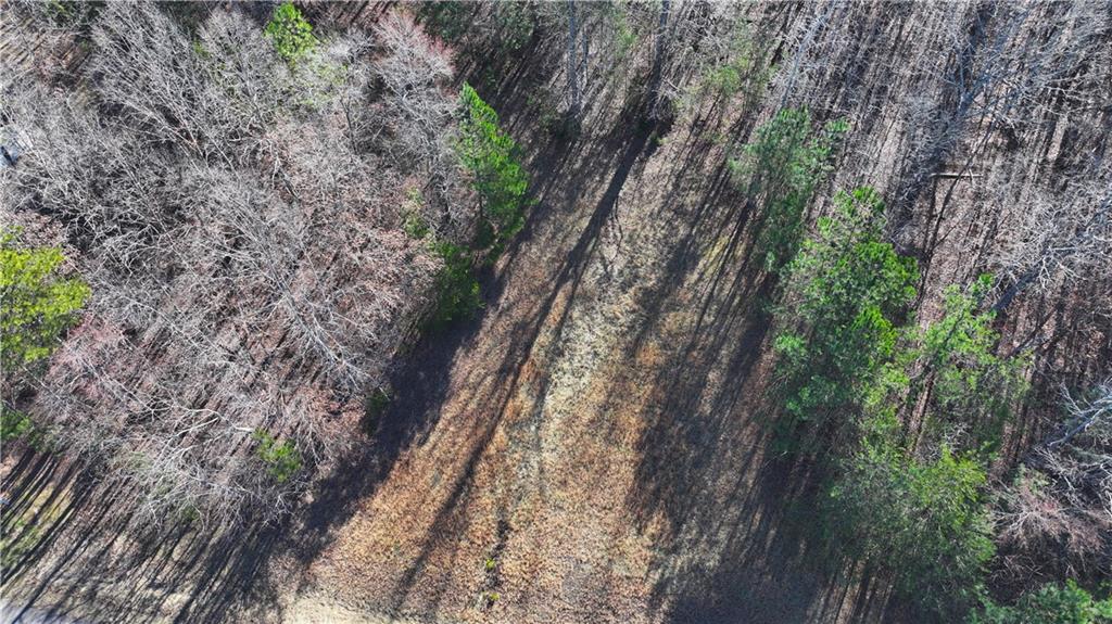 29 Saratoga Drive Rydal, GA 30171 - Photo 5 of 22 a yard with tall trees