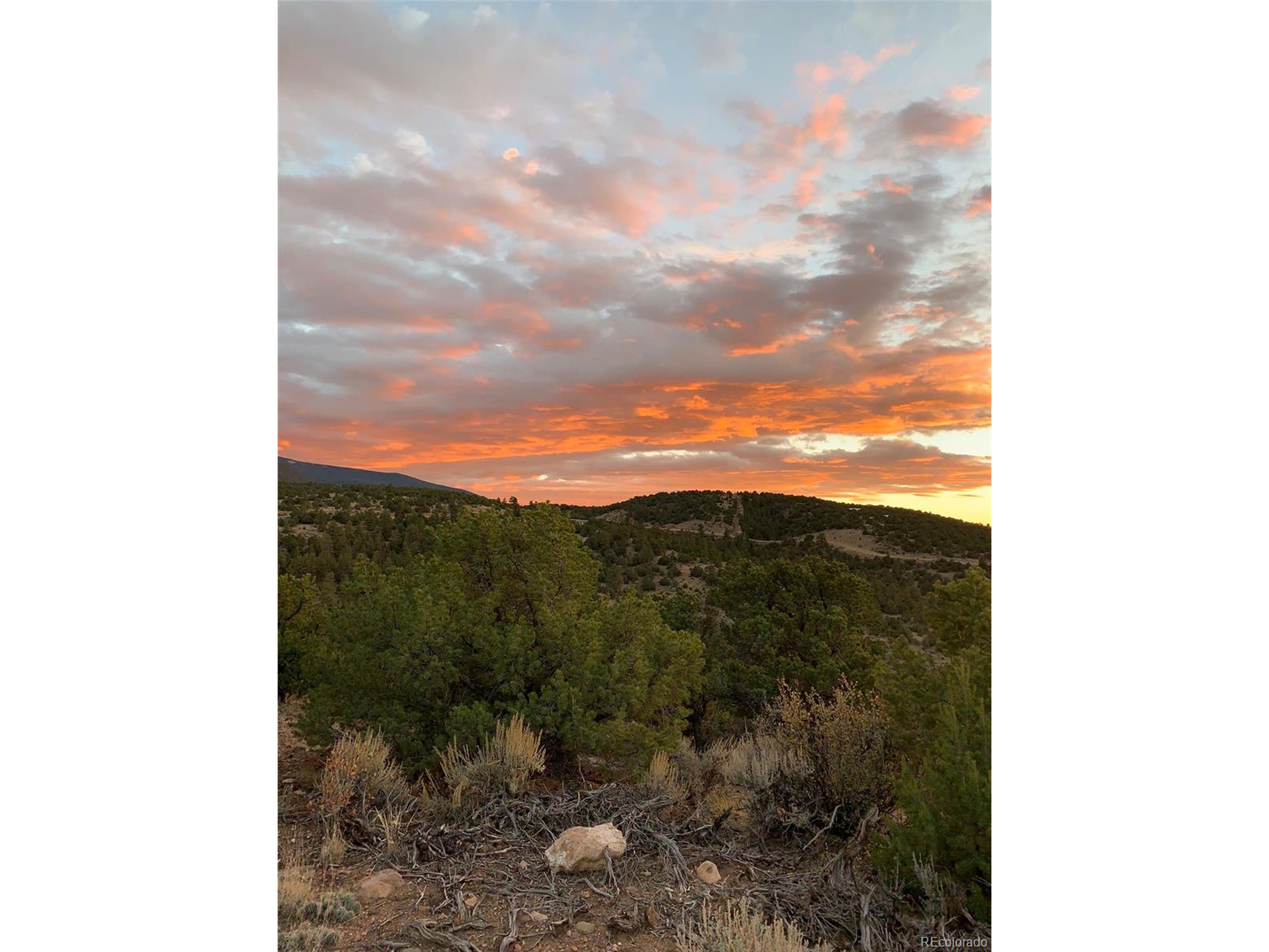 8 Mountain Ridge Lane San Luis, CO 81152 - Photo 3 of 28 a view of a yard