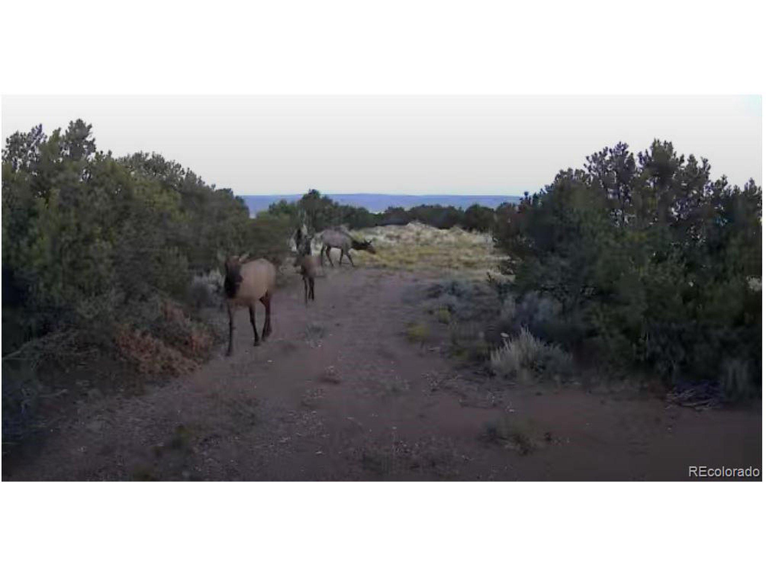 8 Mountain Ridge Lane San Luis, CO 81152 - Photo 7 of 28 a view of a yard