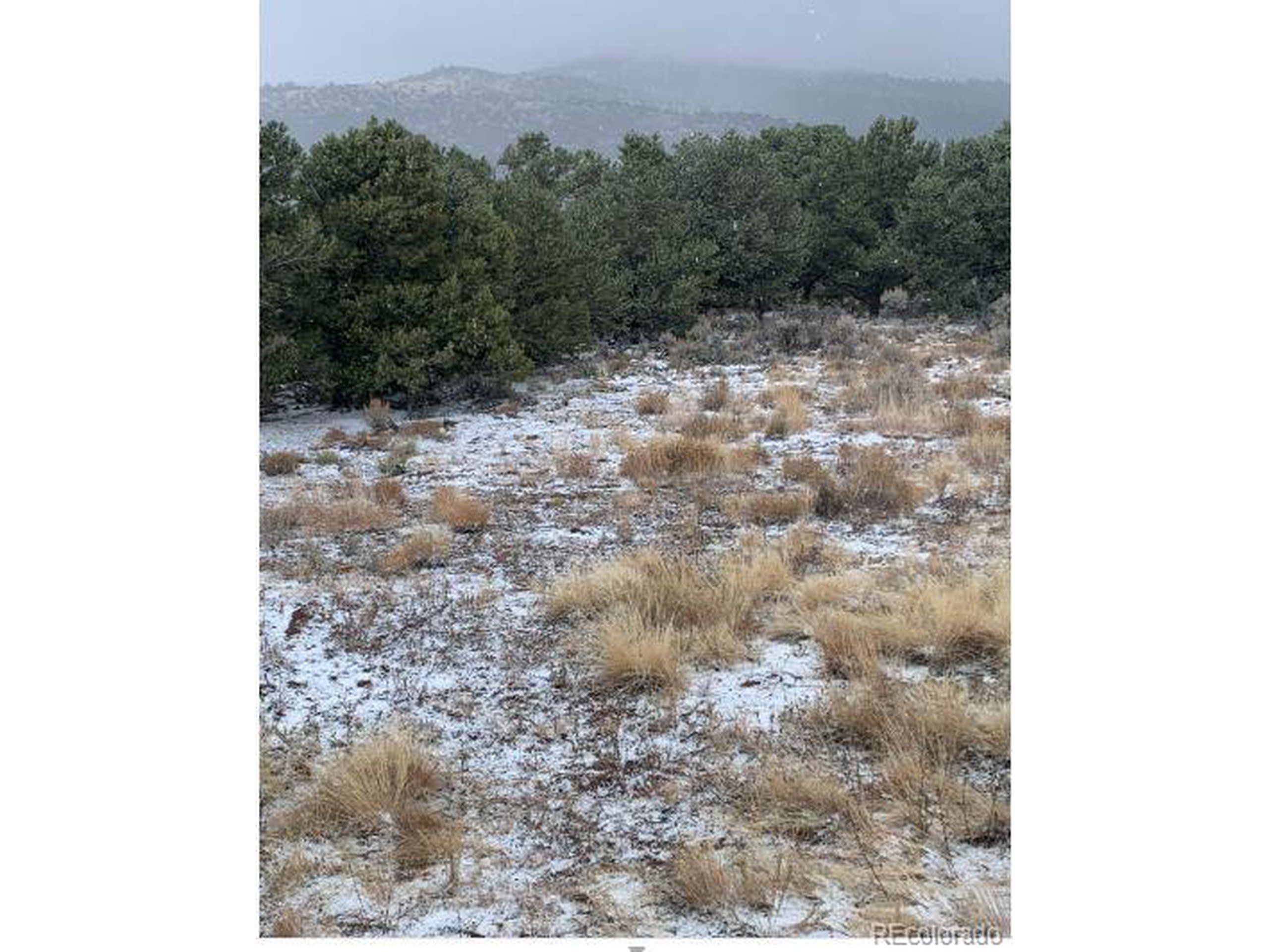 8 Mountain Ridge Lane San Luis, CO 81152 - Photo 10 of 28 a view of a yard with a tree