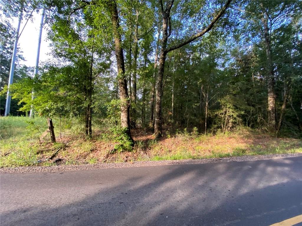 Tbt Lee Road Covington, LA 70435 - Photo 3 of 7