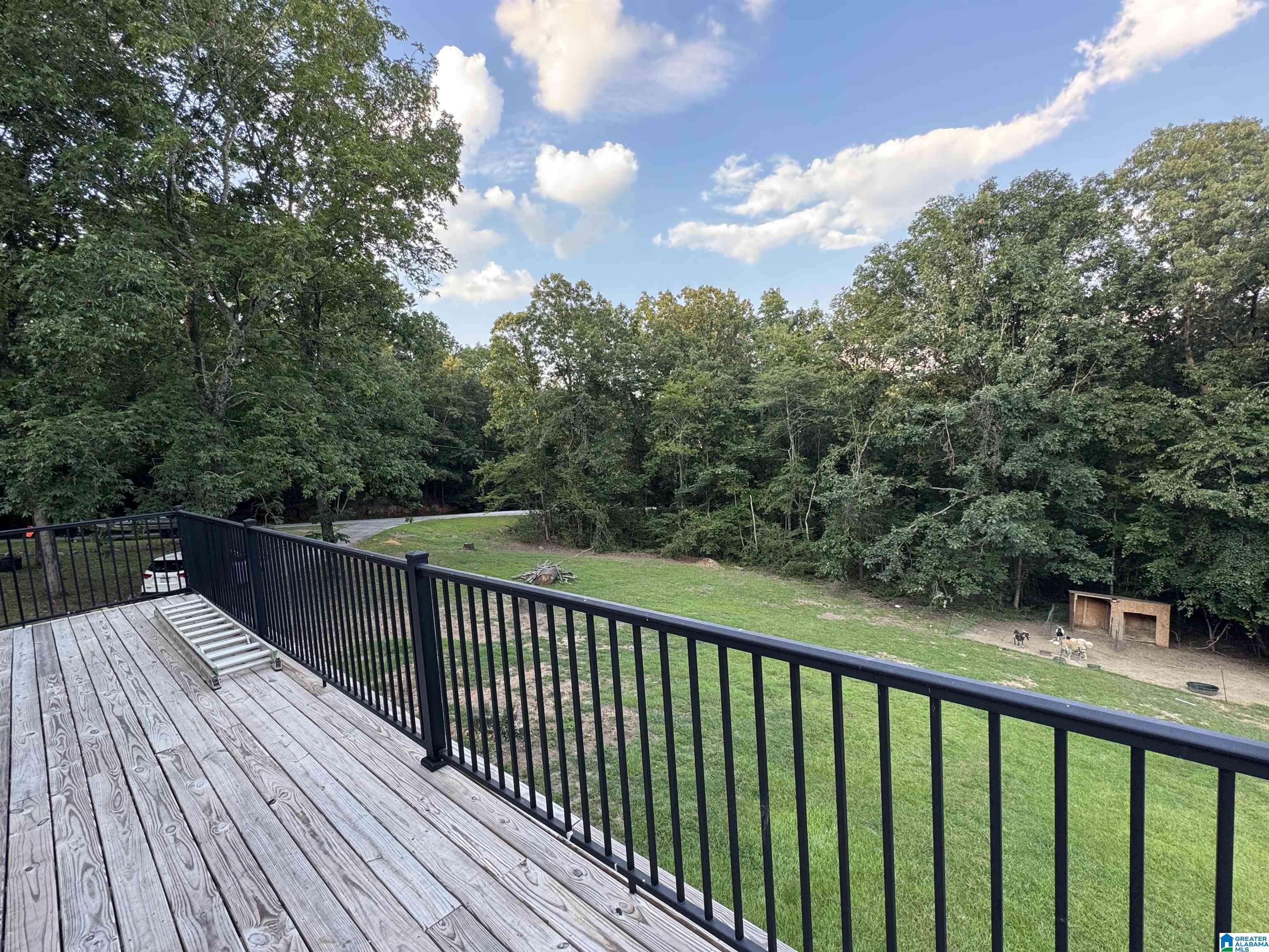 175 Shady Hollow Road Eastaboga, AL 36260 - Photo 42 of 50