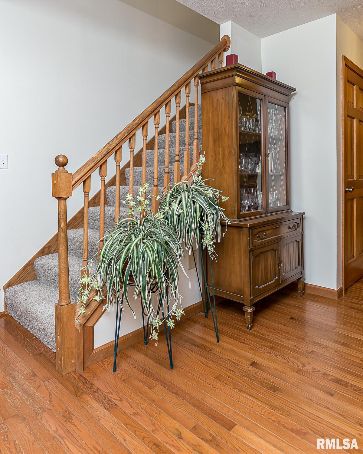 2 St George Court Mackinaw, IL 61755 - Photo 10 of 50 Gallery Image 10