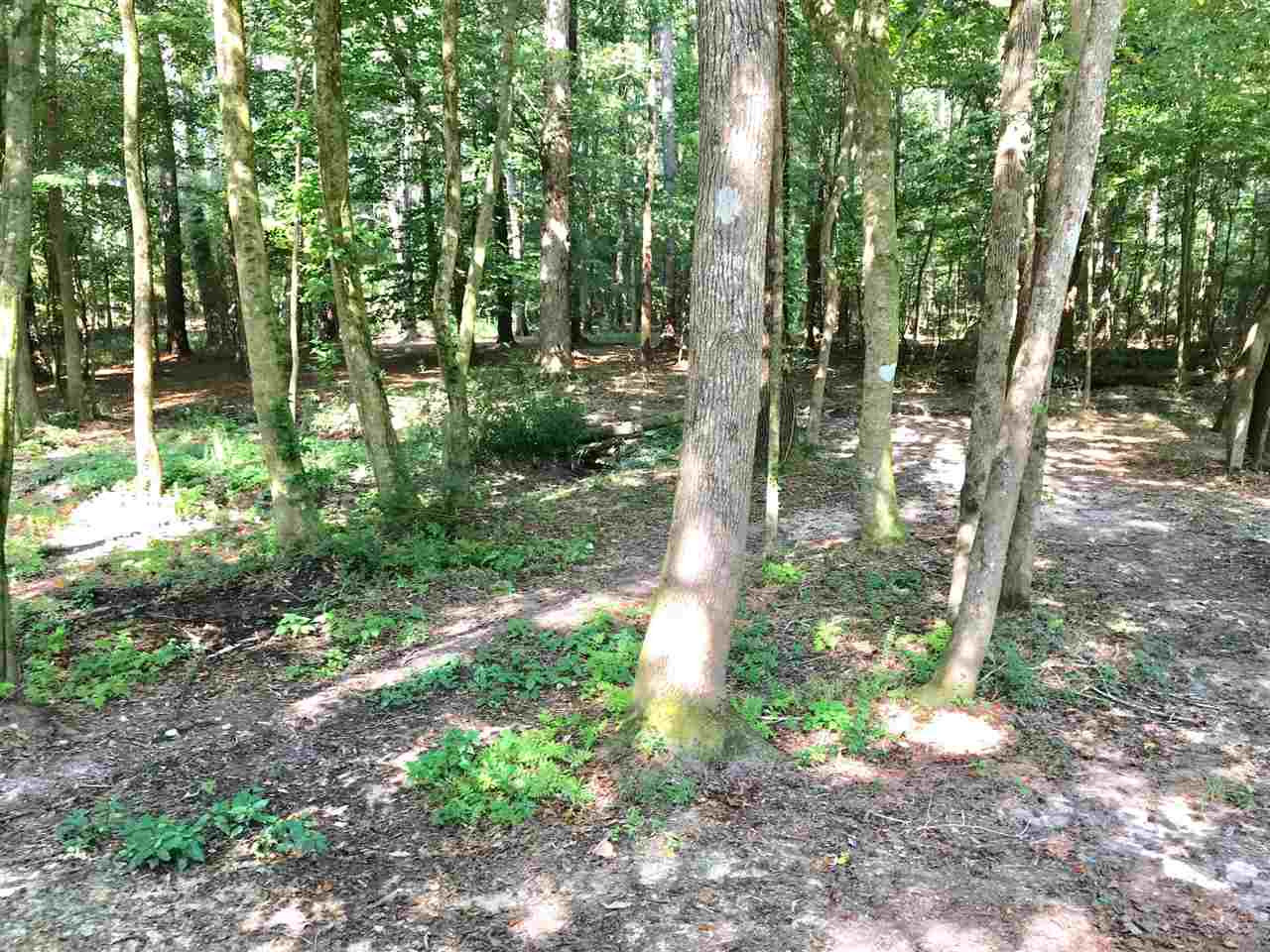 124 Pine Circle Road Brandon, MS 39042 - Photo 26 of 31 Photo 26