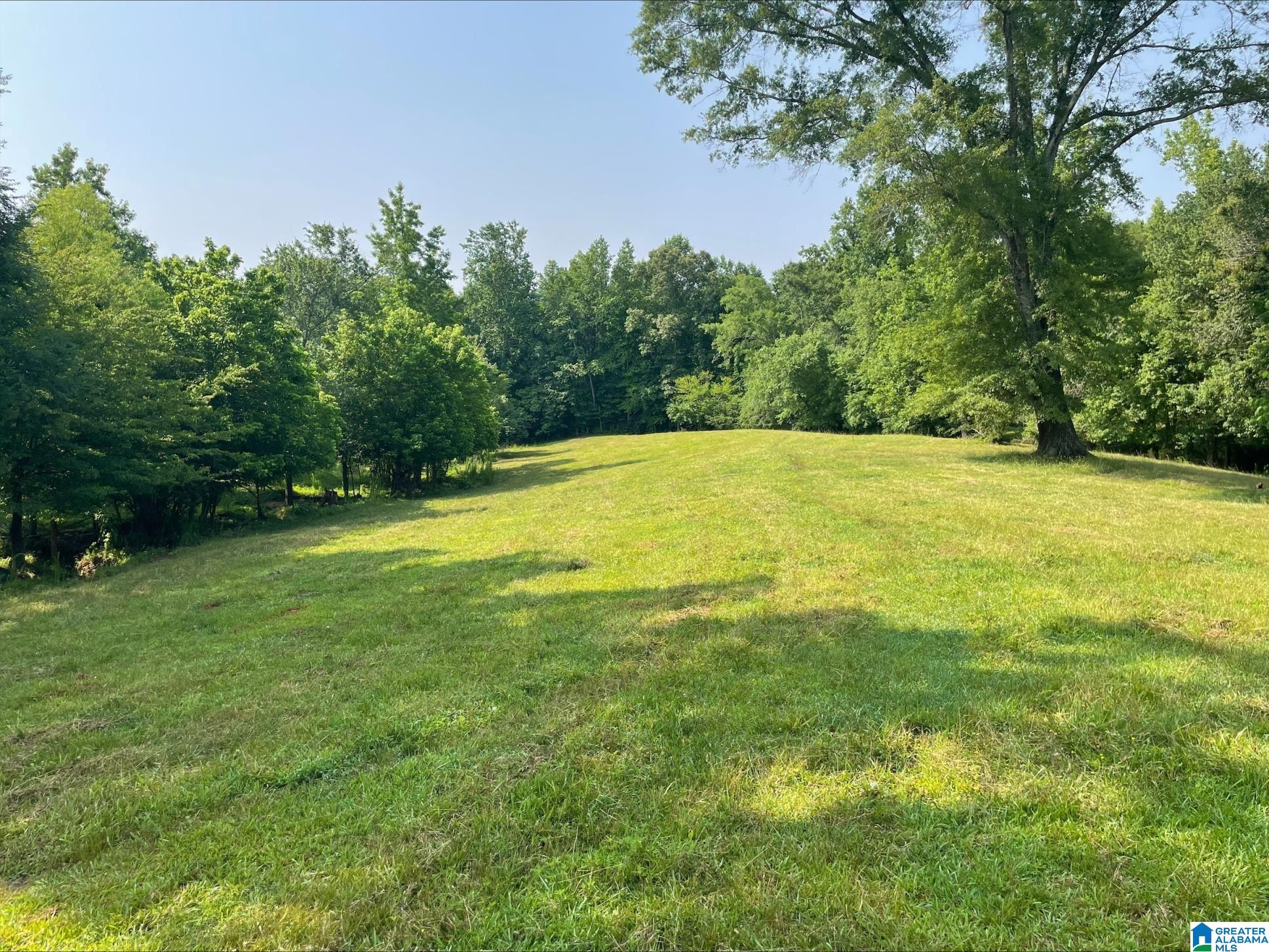 1500 Shiloh Church Road, Unit 81 95 ACRES Delta, AL 36258 - Photo 2 of 28
