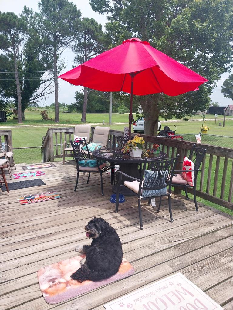 20224 Saxis Road Hallwood, VA 23359 - Photo 12 of 14