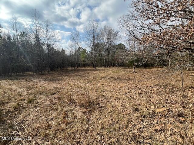 1397 Gravel Springs Road Senatobia, MS 38668 - Photo 12 of 12 IMG_9668