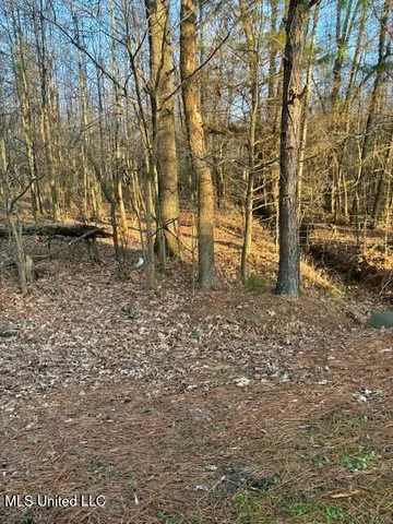 $76,000 | 1397 Gravel Springs Road, Senatobia, MS 38668