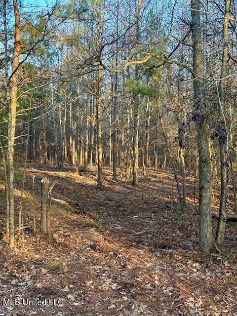 1397 Gravel Springs Road Senatobia, MS 38668 - Photo 4 of 12 IMG_2134