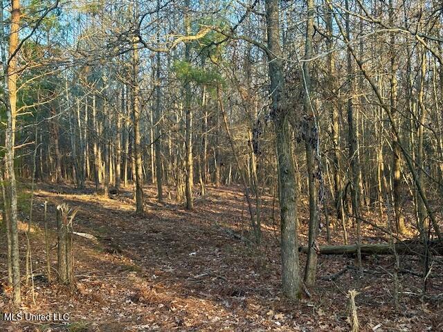 1397 Gravel Springs Road Senatobia, MS 38668 - Photo 5 of 12 IMG_2135