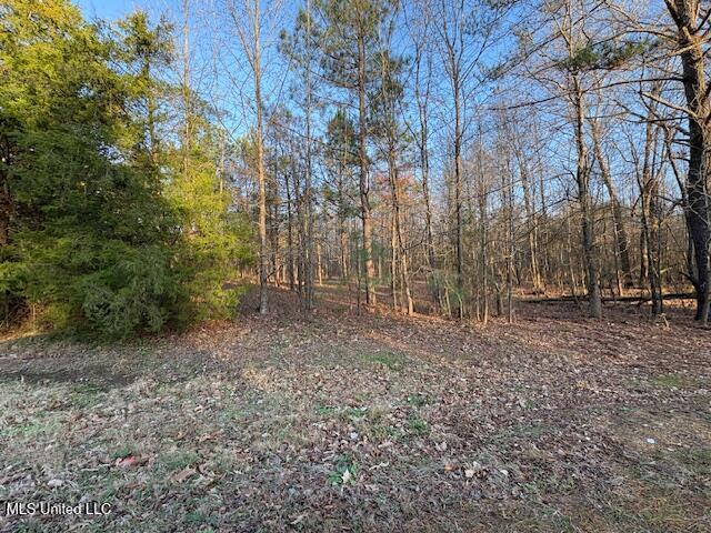 1397 Gravel Springs Road Senatobia, MS 38668 - Photo 6 of 12 IMG_2137