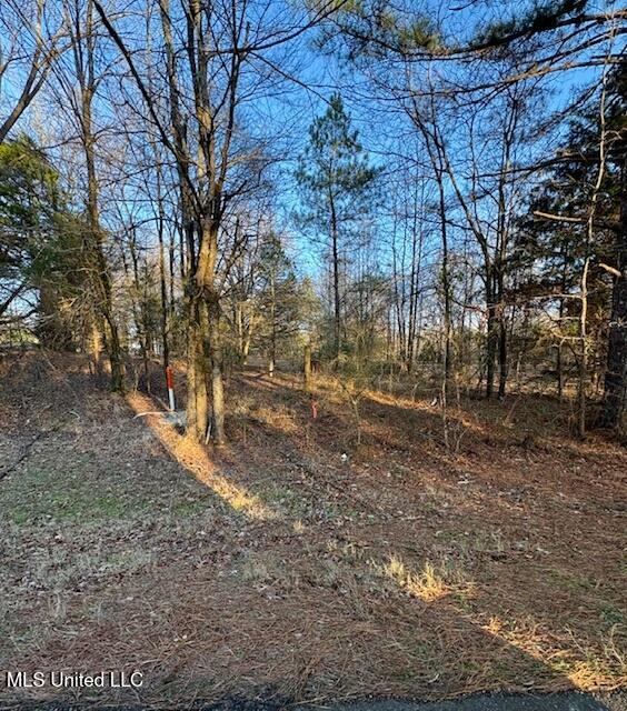 1397 Gravel Springs Road Senatobia, MS 38668 - Photo 7 of 12 IMG_213