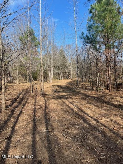 1397 Gravel Springs Road Senatobia, MS 38668 - Photo 8 of 12 IMG_9663