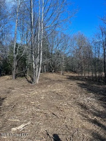 $76,000 | 1397 Gravel Springs Road, Senatobia, MS 38668