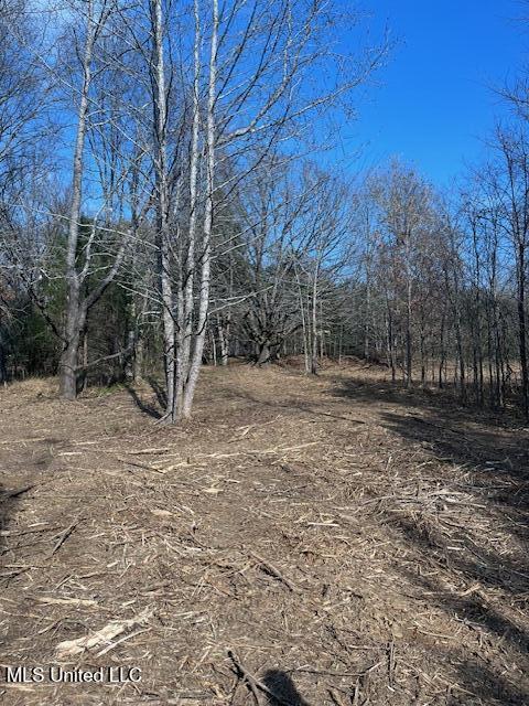 1397 Gravel Springs Road Senatobia, MS 38668 - Photo 9 of 12 IMG_9664