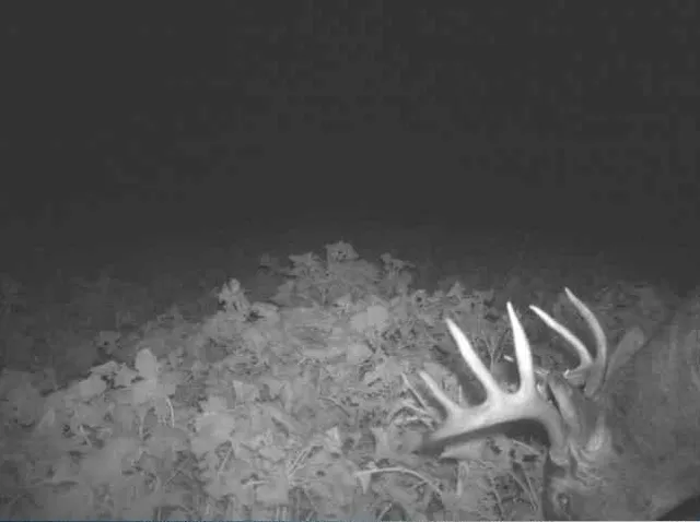 $2,375,000 | S849 County Road F, Nelson, WI 54756