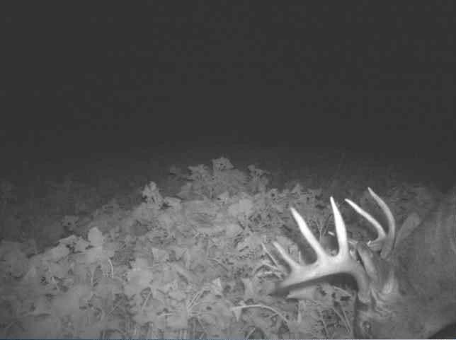 S849 County Road F Nelson, WI 54756 - Photo 101 of 107