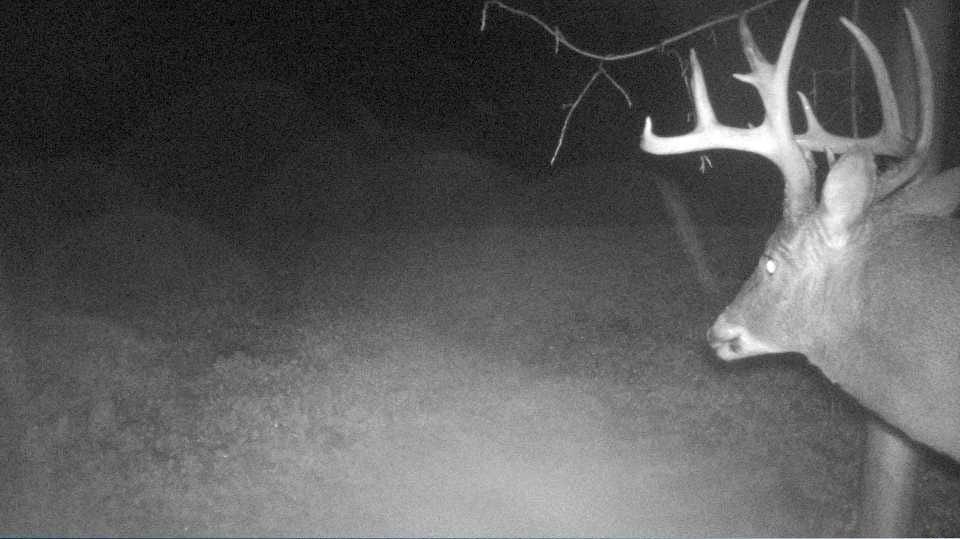 S849 County Road F Nelson, WI 54756 - Photo 103 of 107