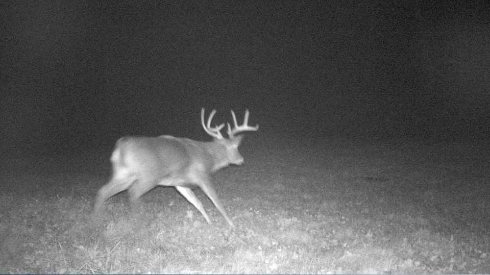 S849 County Road F Nelson, WI 54756 - Photo 105 of 107