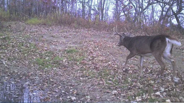 $2,375,000 | S849 County Road F, Nelson, WI 54756