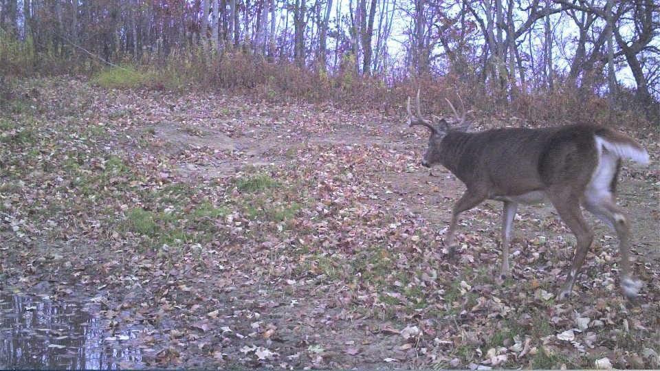 S849 County Road F Nelson, WI 54756 - Photo 106 of 107