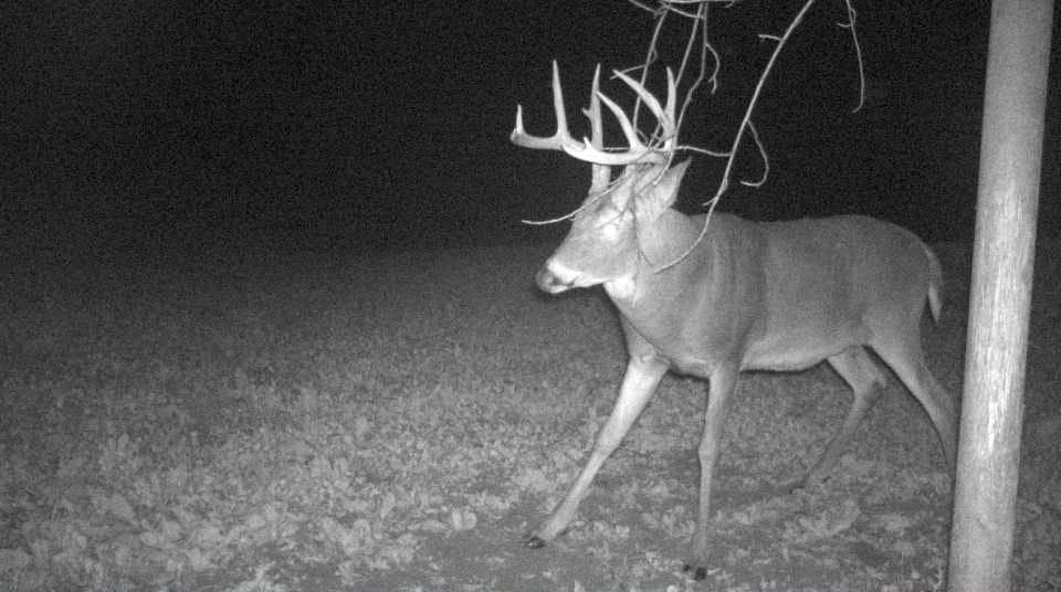 S849 County Road F Nelson, WI 54756 - Photo 107 of 107