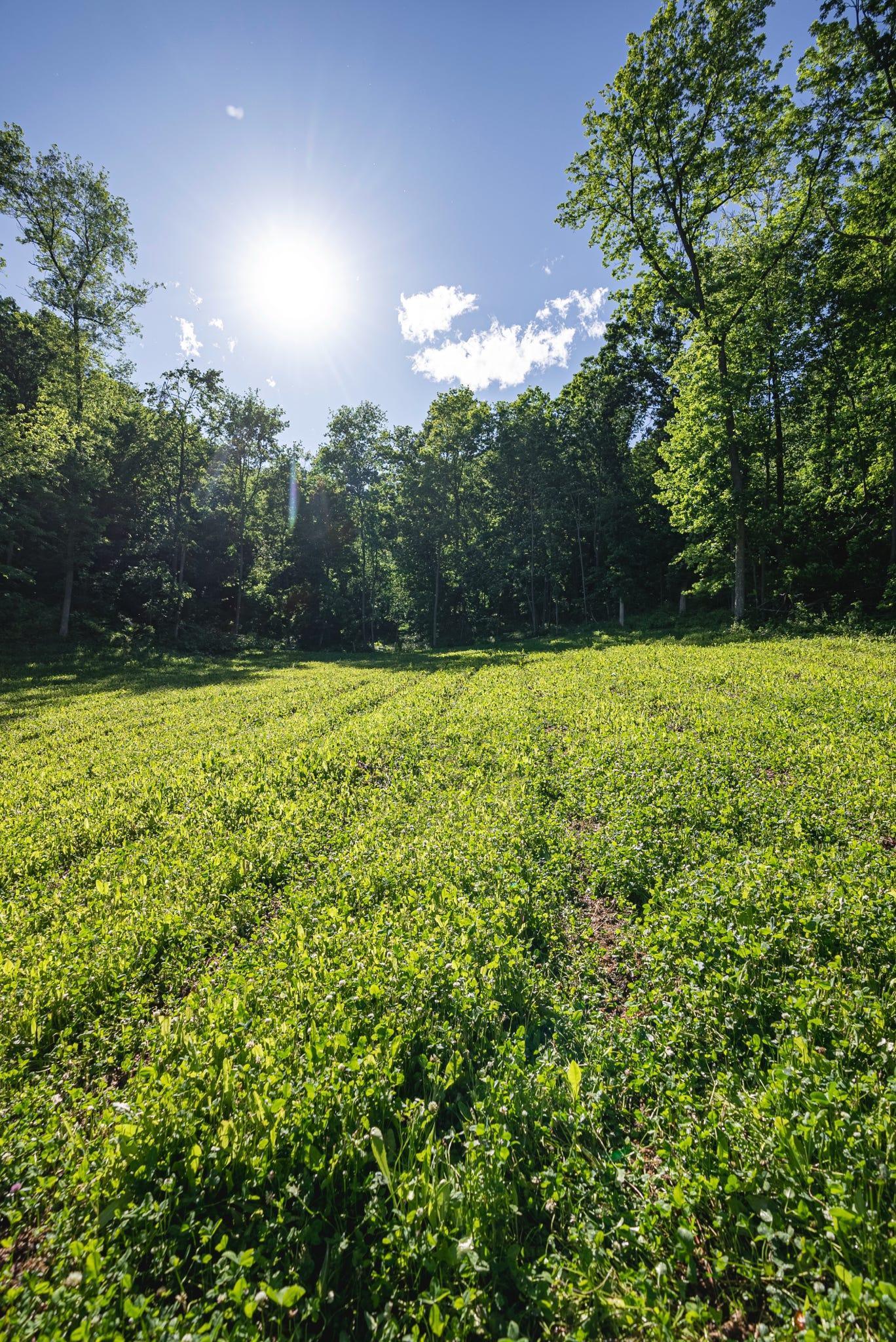S849 County Road F Nelson, WI 54756 - Photo 12 of 107