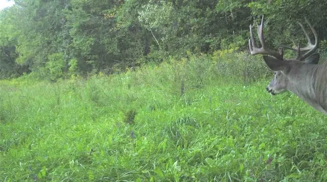 $2,375,000 | S849 County Road F, Nelson, WI 54756