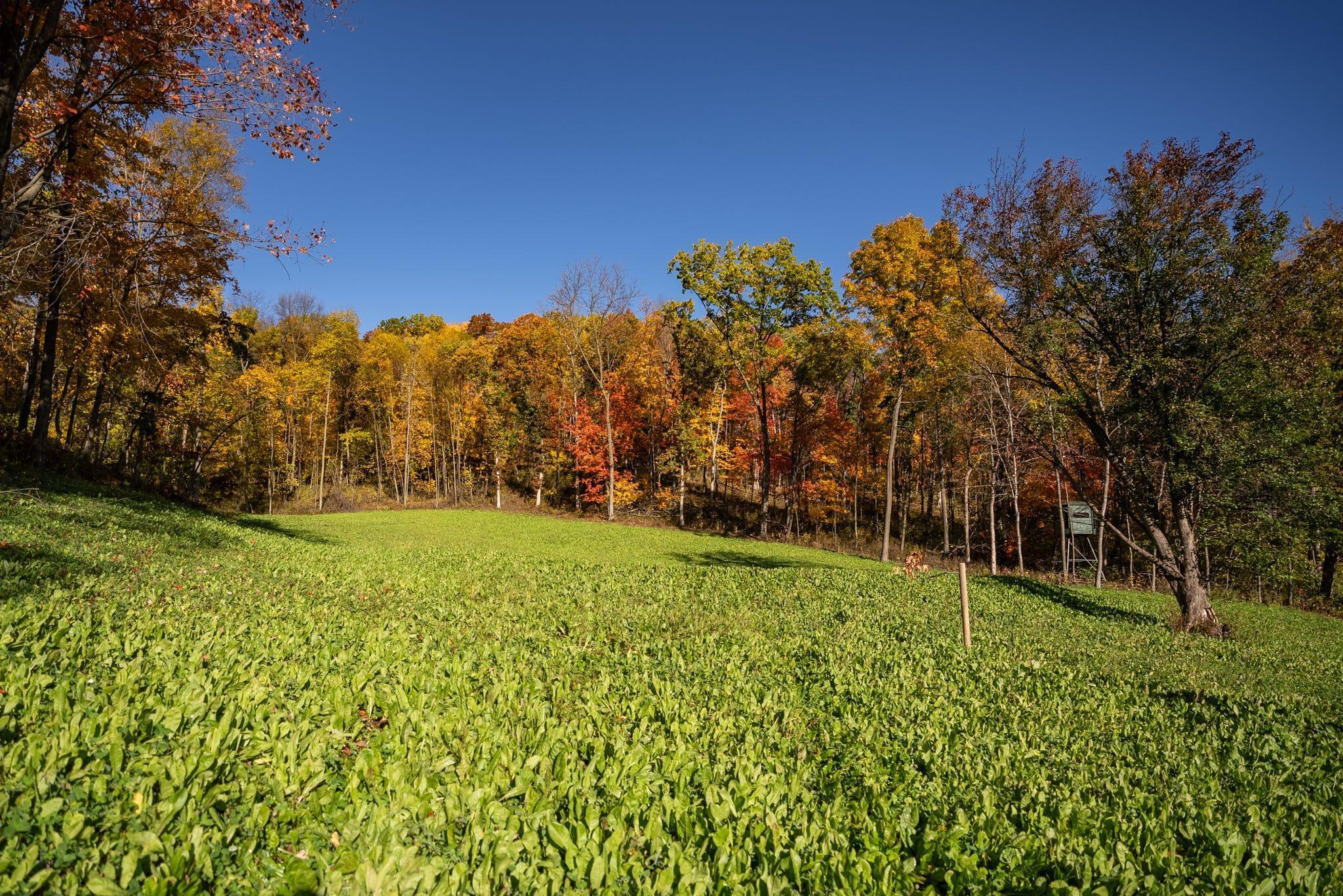 S849 County Road F Nelson, WI 54756 - Photo 14 of 107