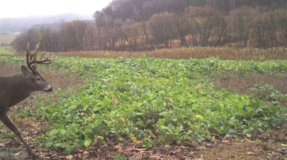 S849 County Road F Nelson, WI 54756 - Photo 15 of 107