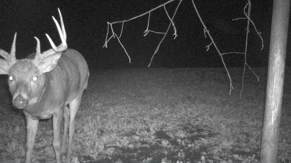 S849 County Road F Nelson, WI 54756 - Photo 16 of 107