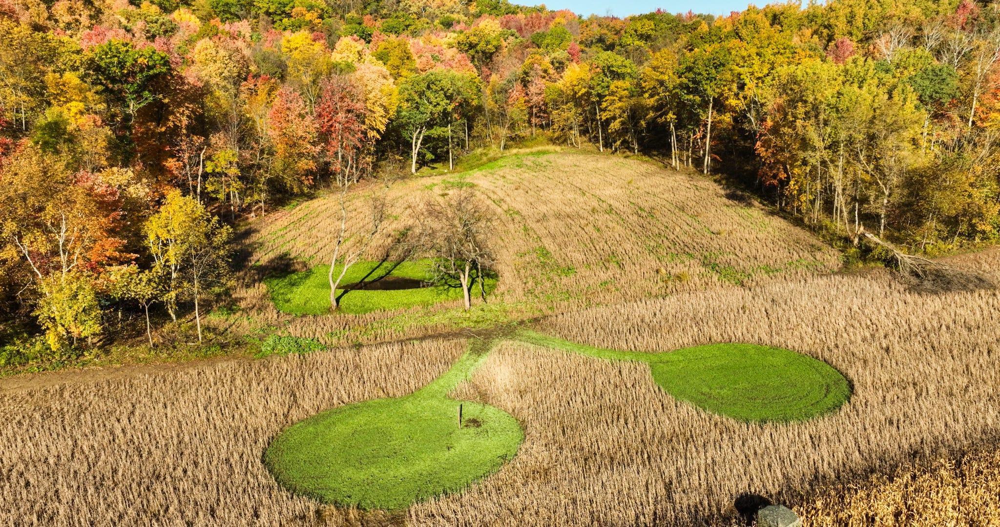 S849 County Road F Nelson, WI 54756 - Photo 17 of 107